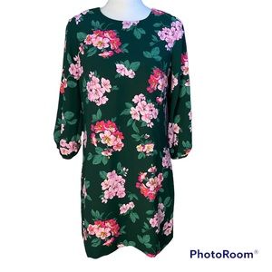 Ann Taylor Green Pink Floral Long Sleeve Shift Dress 4 Petite